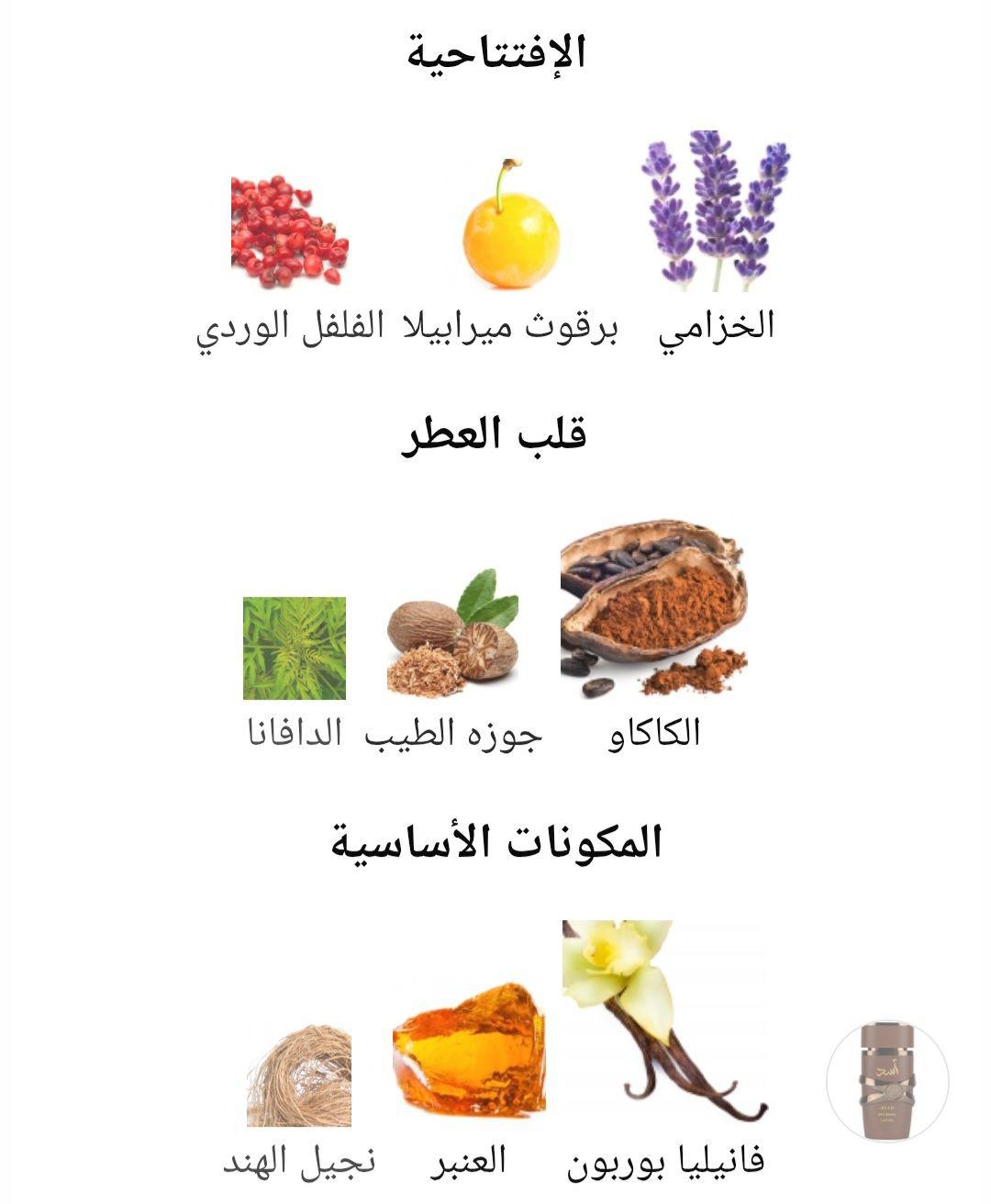 Asad Bourbon Lattafa Perfumes