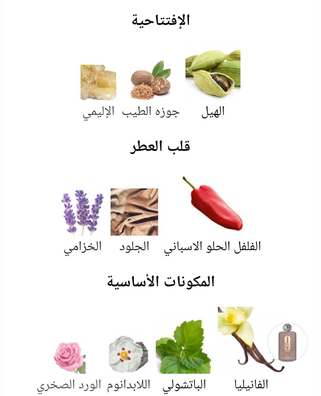 9PM Elixir Afnan