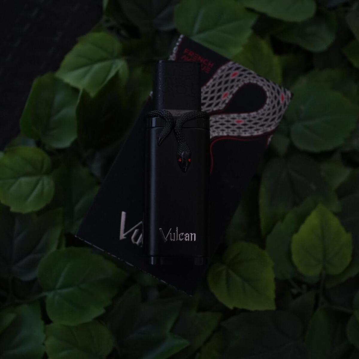 Vulcan Black Friday French Avenue