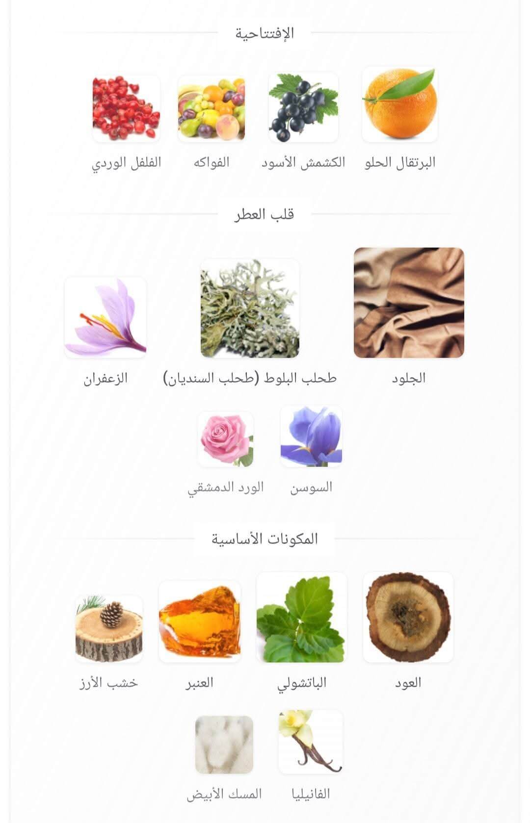 Gardenia Ahmed Al Maghribi