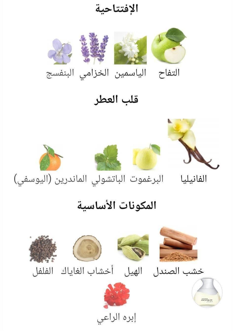 Détour Noir Al Haramain Perfumes