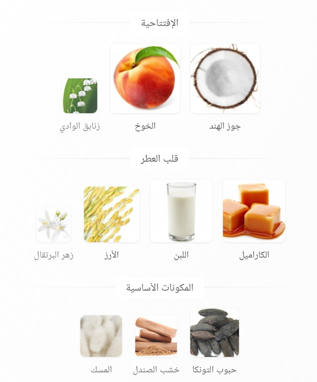 Matcha Latte Arabiyat Sugar