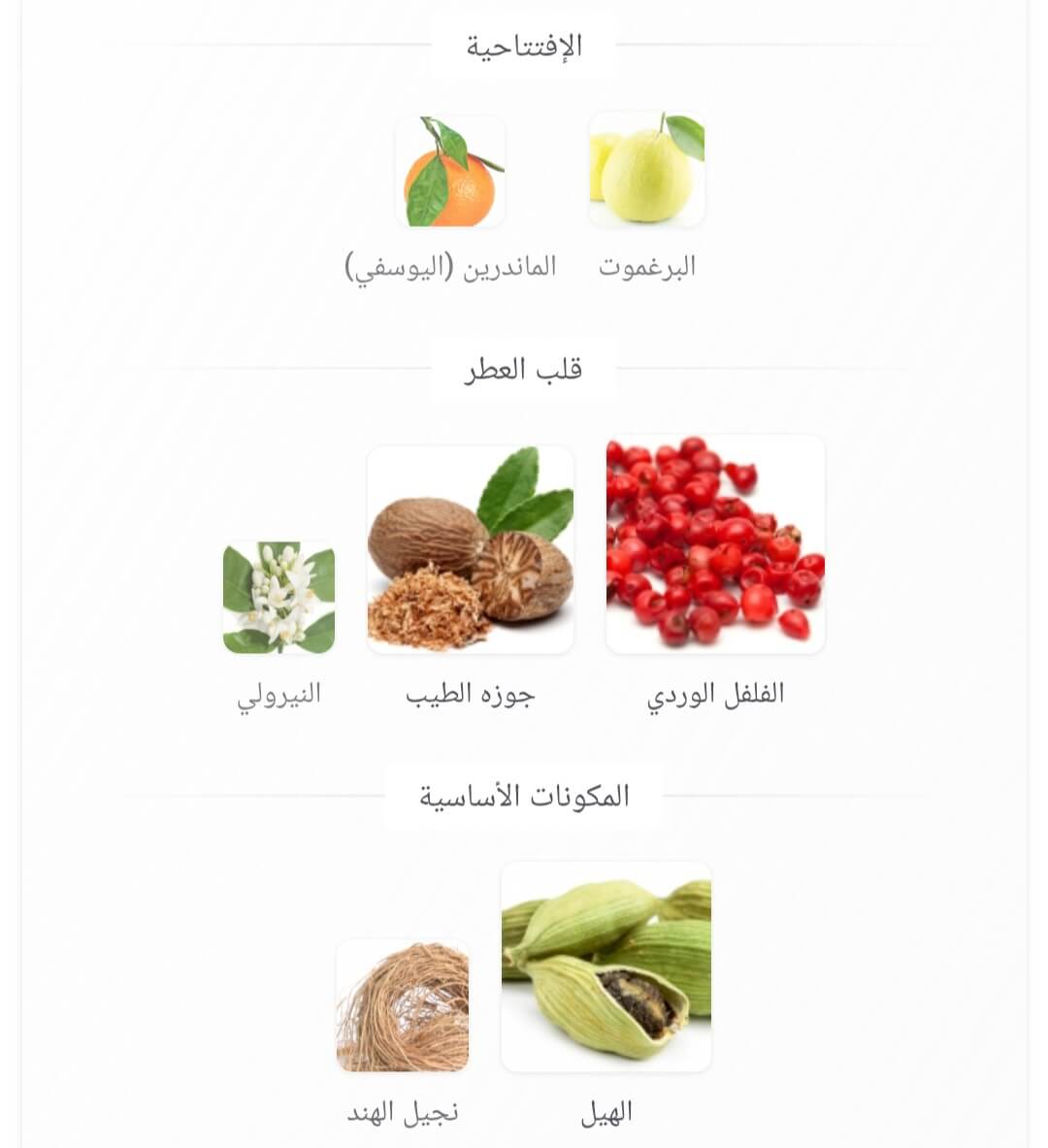 Shiyaaka Snow Khadlaj Perfumes