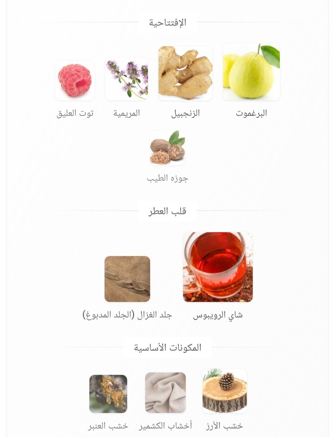 Dynasty Lattafa Perfumes