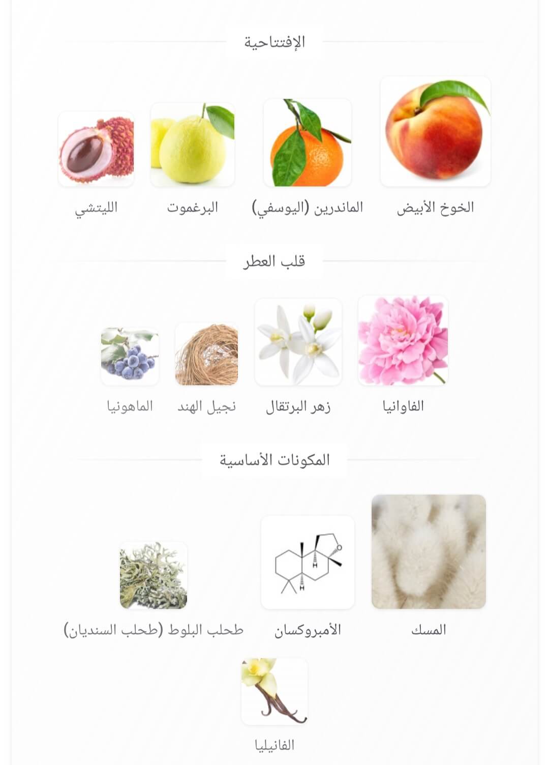 Mystique Bouquet Afnan