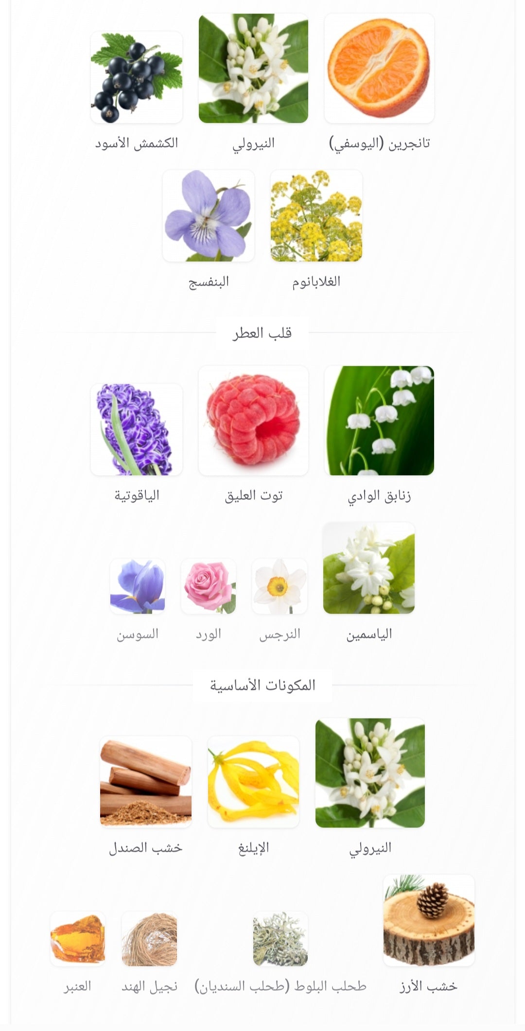 Blue AL-REHAB PERFUMES