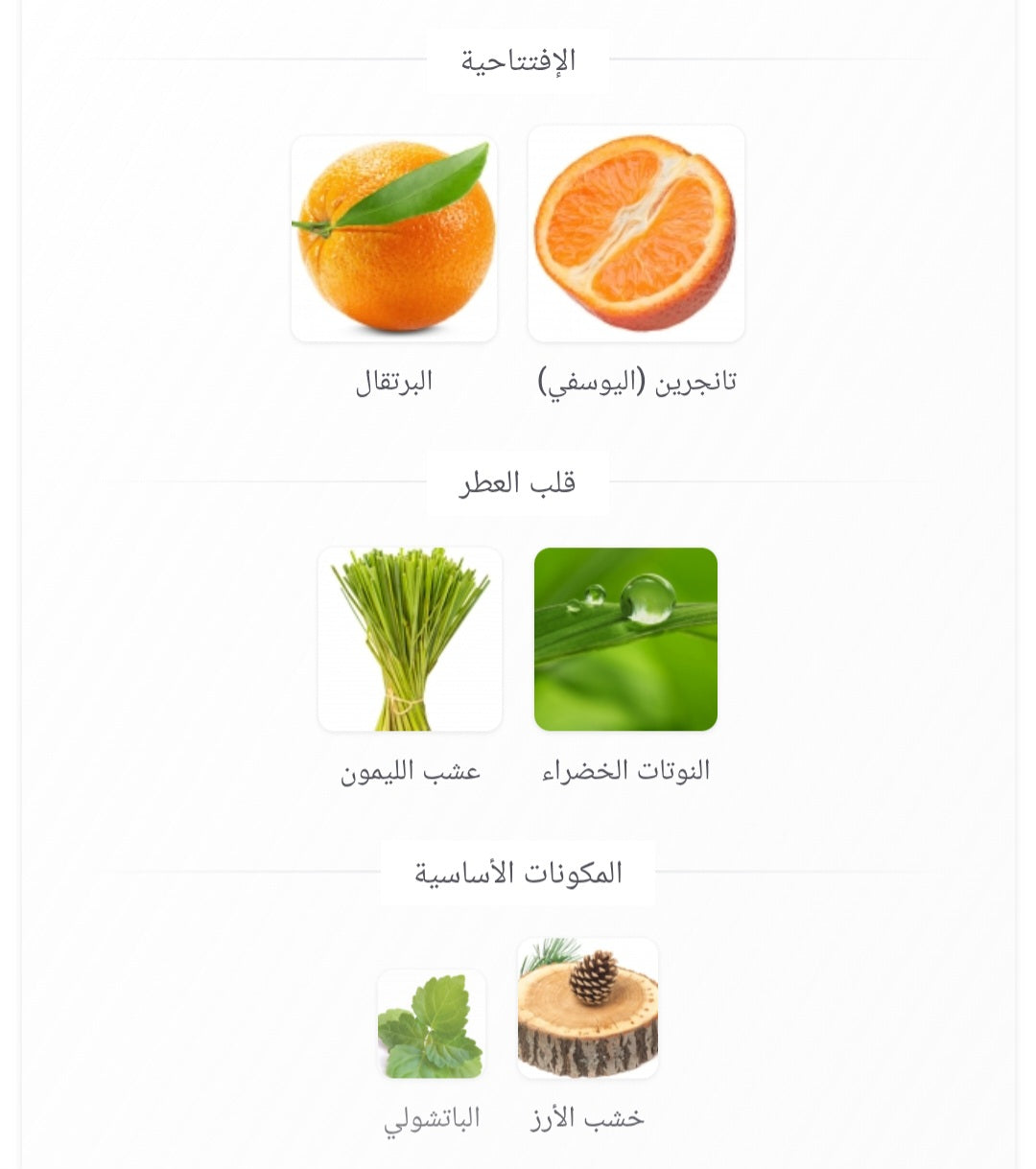 Black Horse AL-REHAB PERFUMES