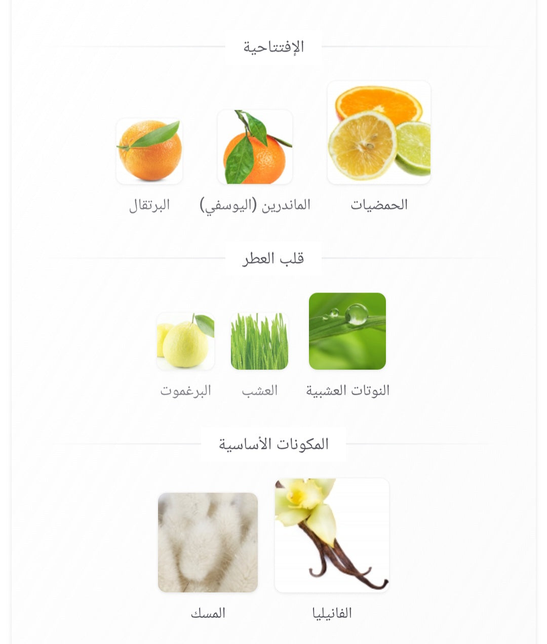 White Horse AL-REHAB PERFUMES