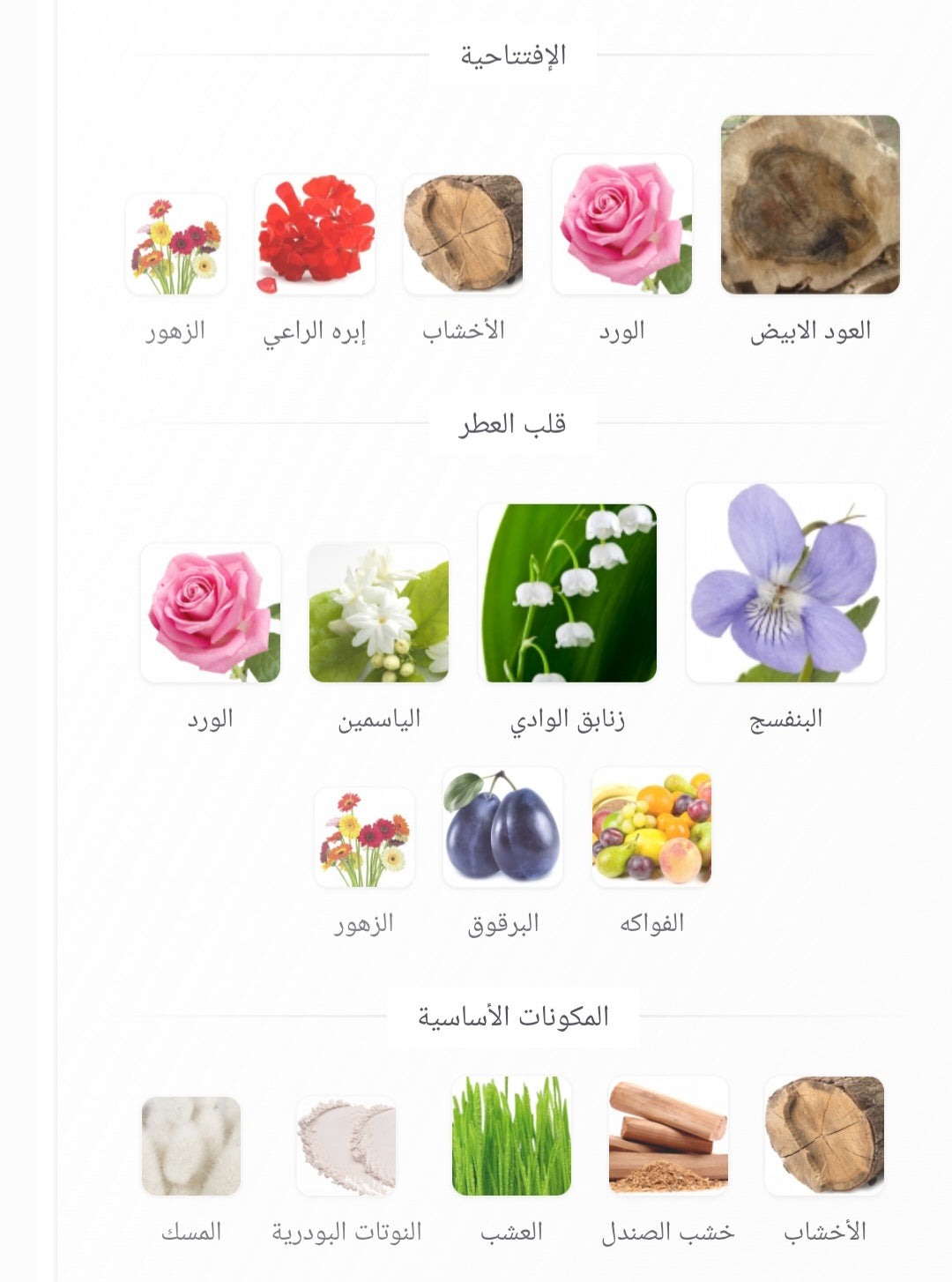 Silk Musk Wadi Al Khaleej