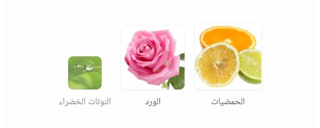 Sabaya Concentrated Perfume Oil