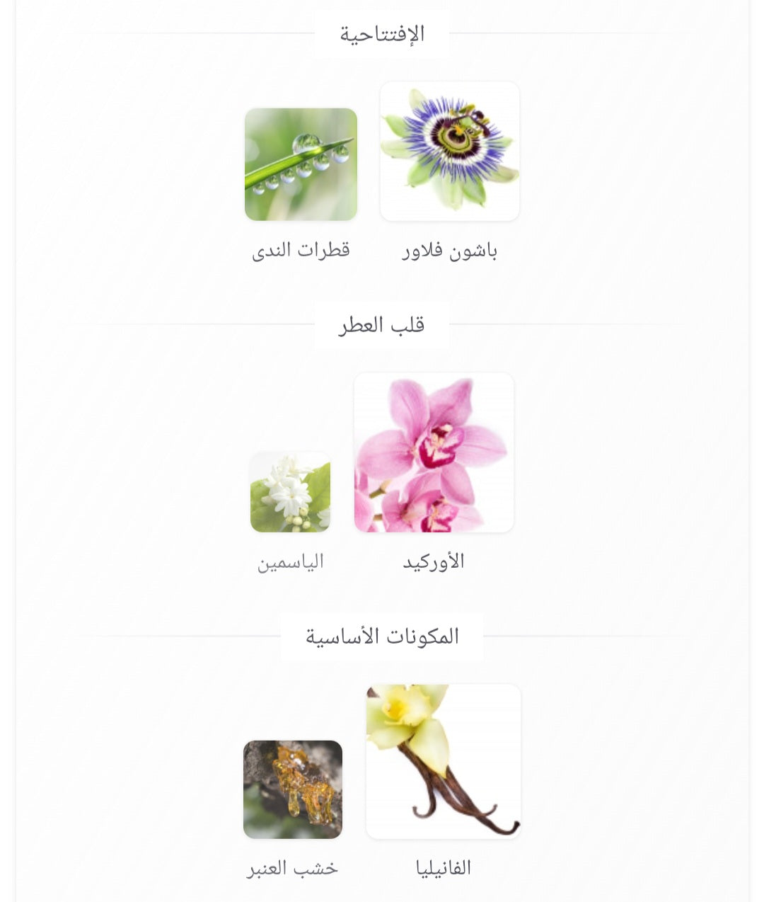 Atheeri Lattafa Perfumes