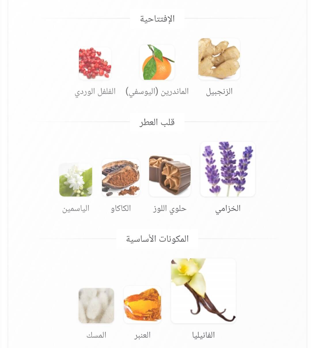 Angham Lattafa Perfumes