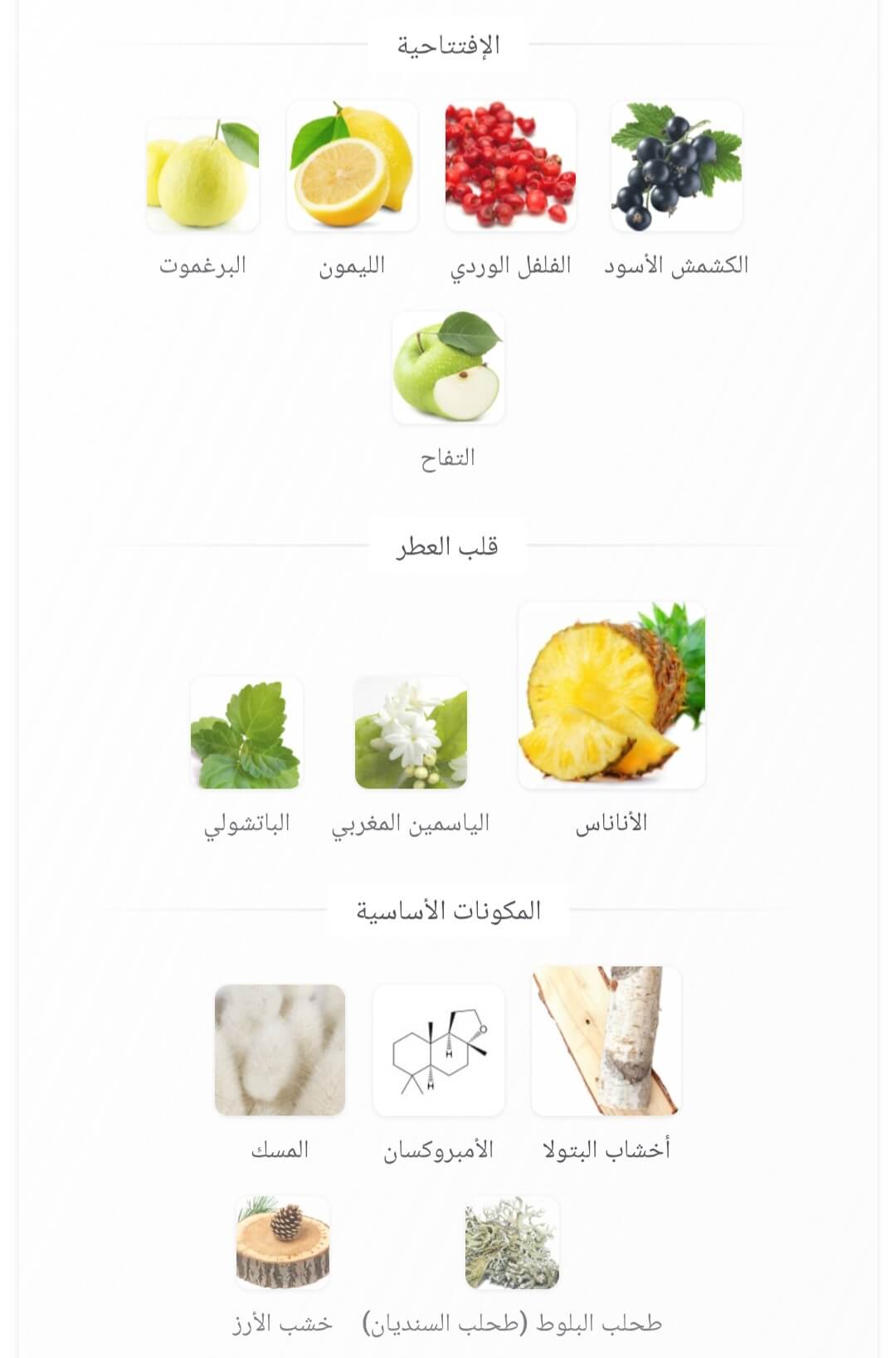Venti Fragrance World