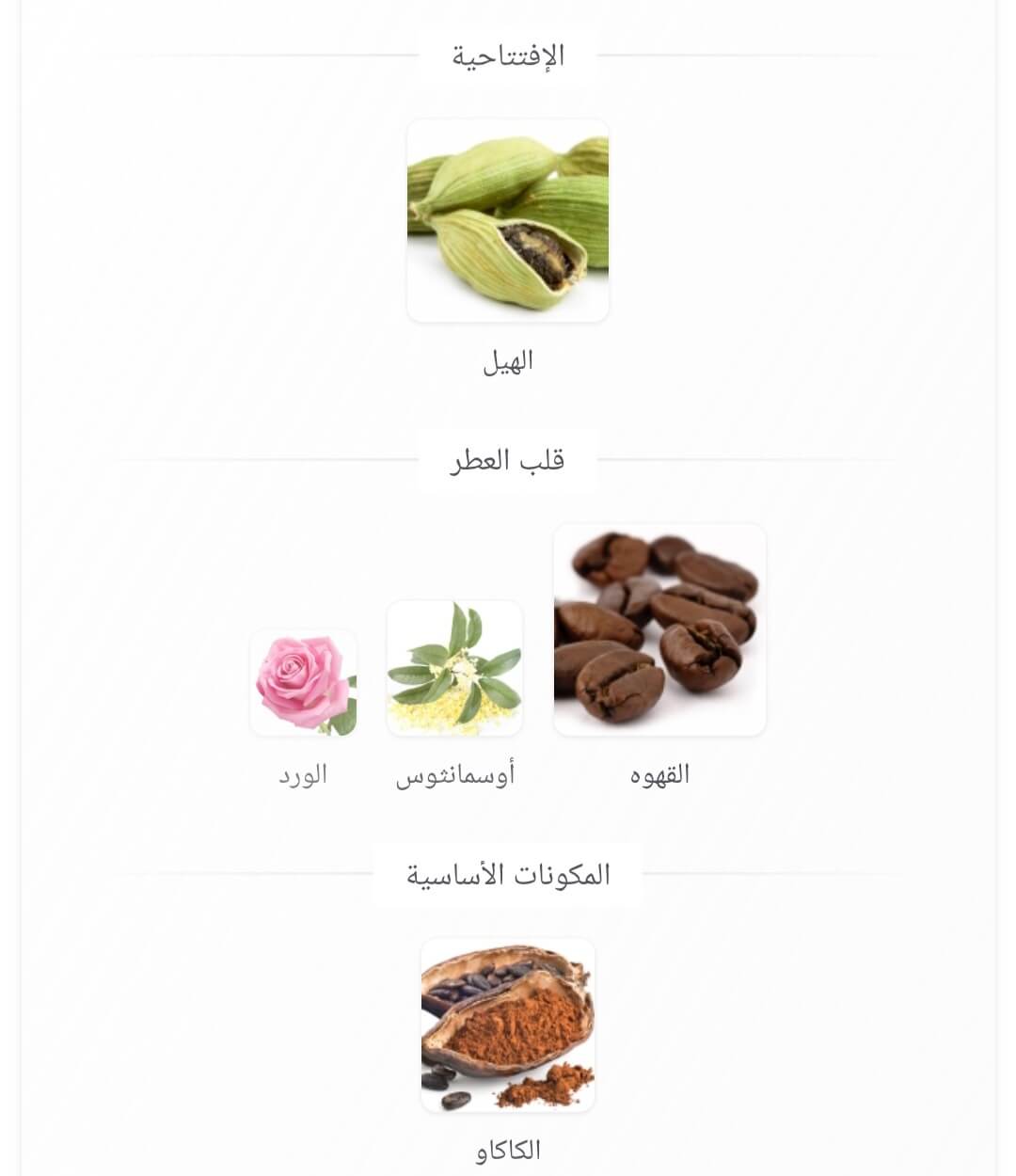 Mocha Fragrance World