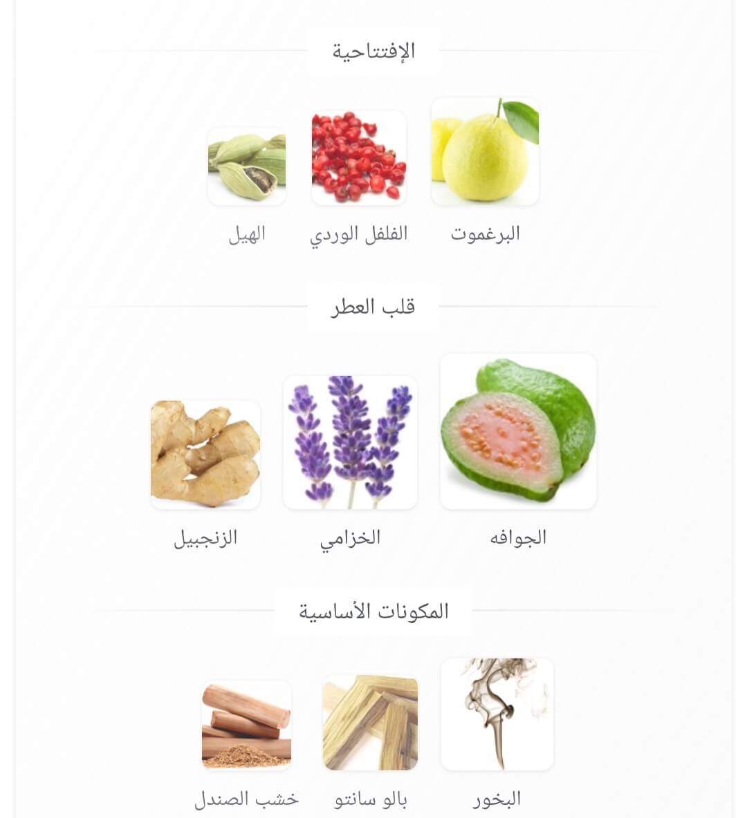 Fakhar Platin Lattafa Perfumes