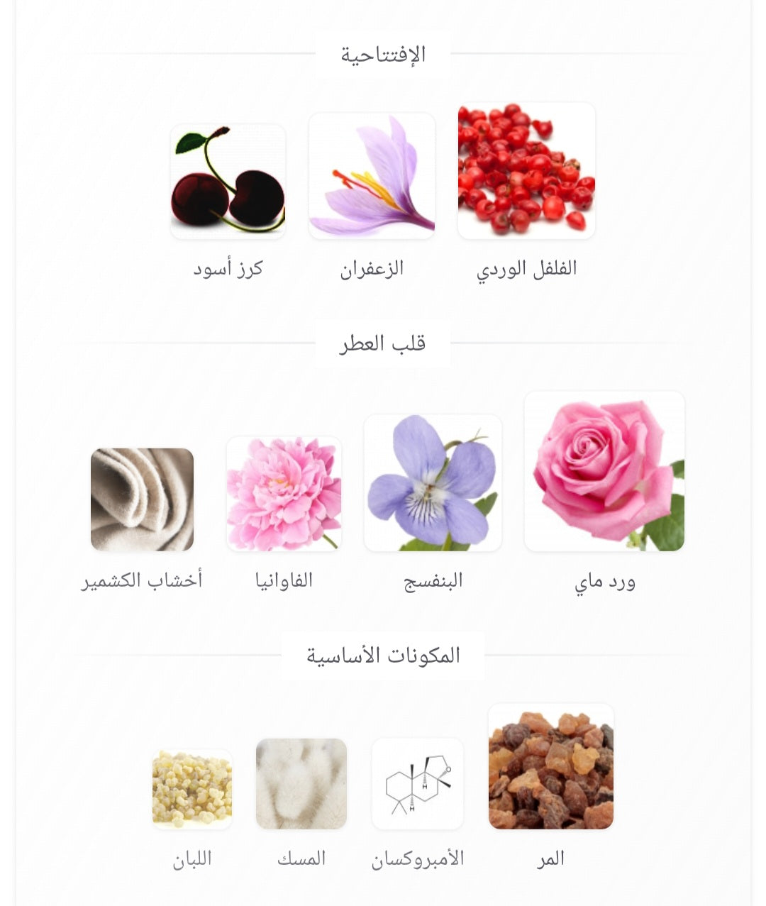 Venti Carisma Fragrance World