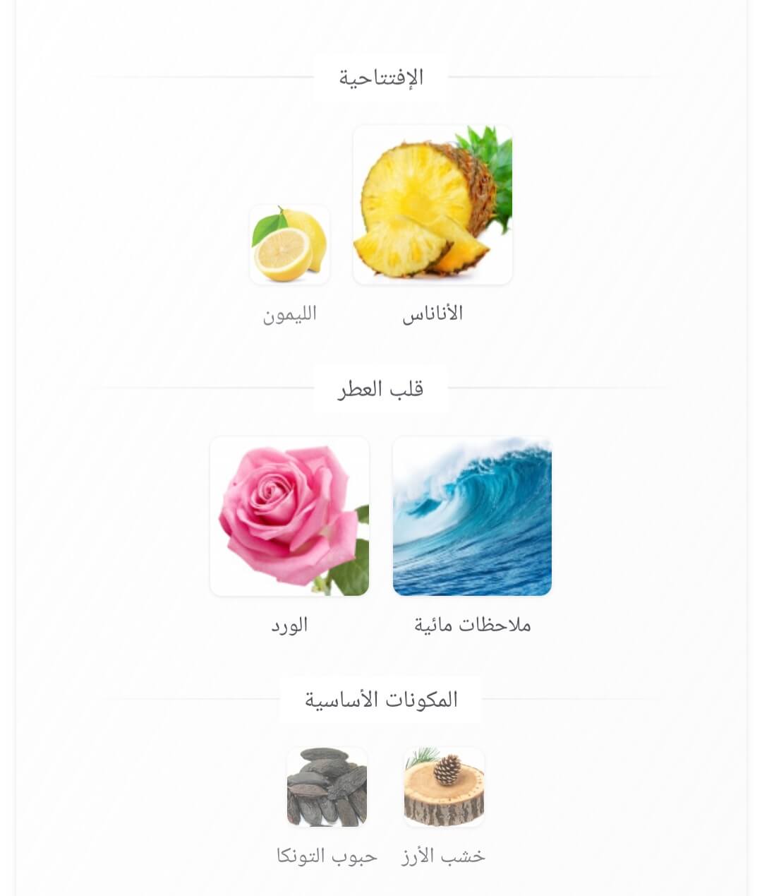Oasis Gissah
