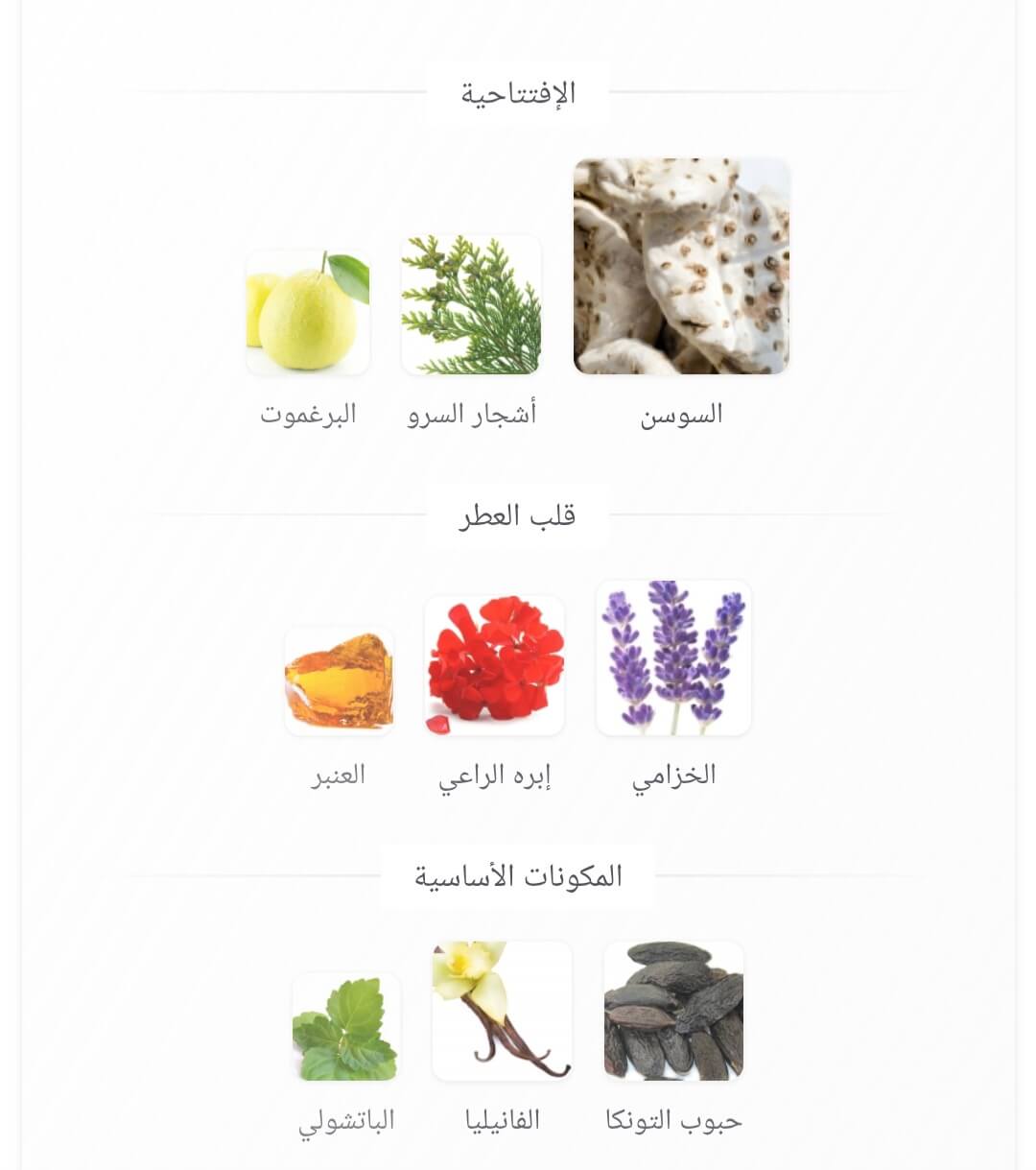 Noirè Arabiyat Prestige