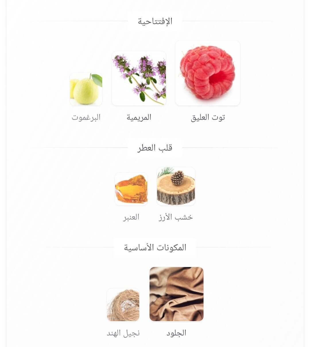 Noirè Absolu Arabiyat Prestige