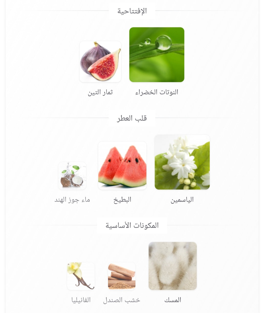 Silk Musk Wardi (2025) Wadi Al Khaleej