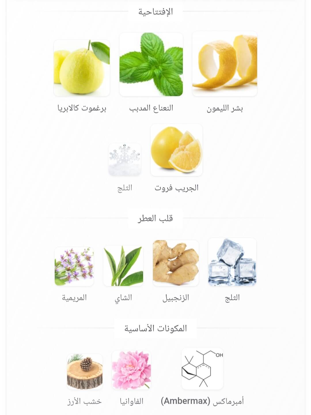 Freeze Riiffs Perfumes