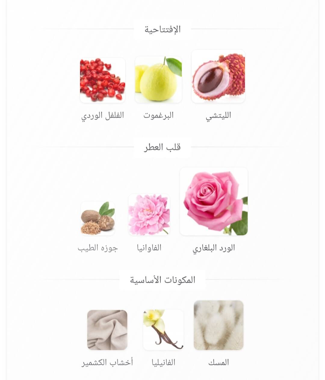 Rose 01 Swiss Arabian