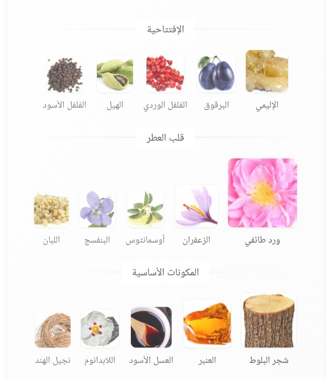 Enigma of Taif Swiss Arabian