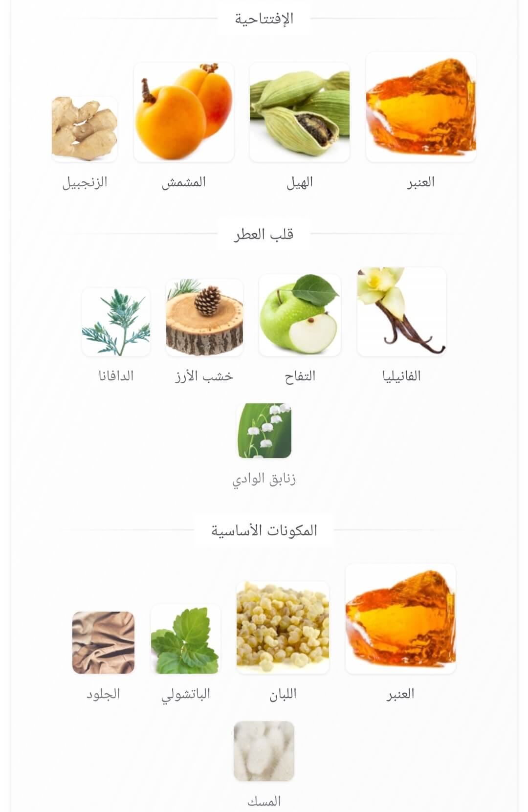 Shaghaf Amber Infusion Swiss Arabian