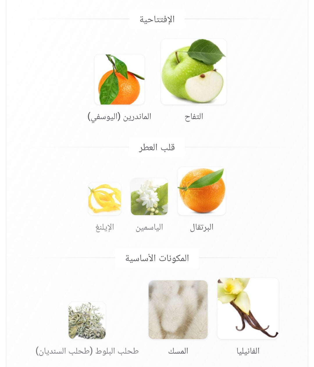 Ra'ed Absolu Lattafa Perfumes