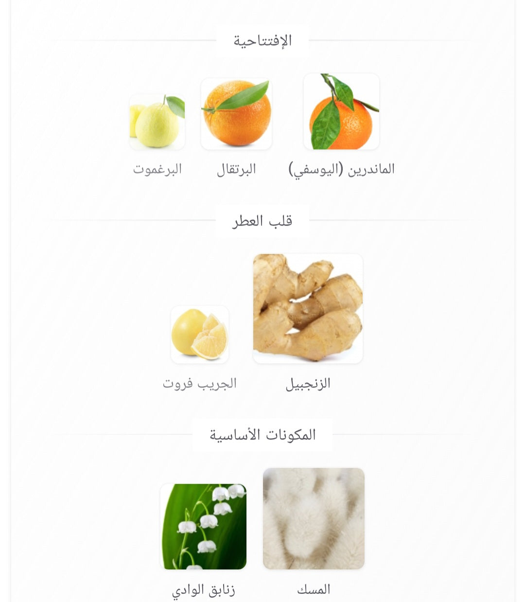 DXB MAISON ASRAR