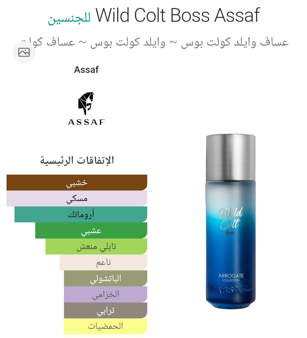 Wild Colt Boss Assaf