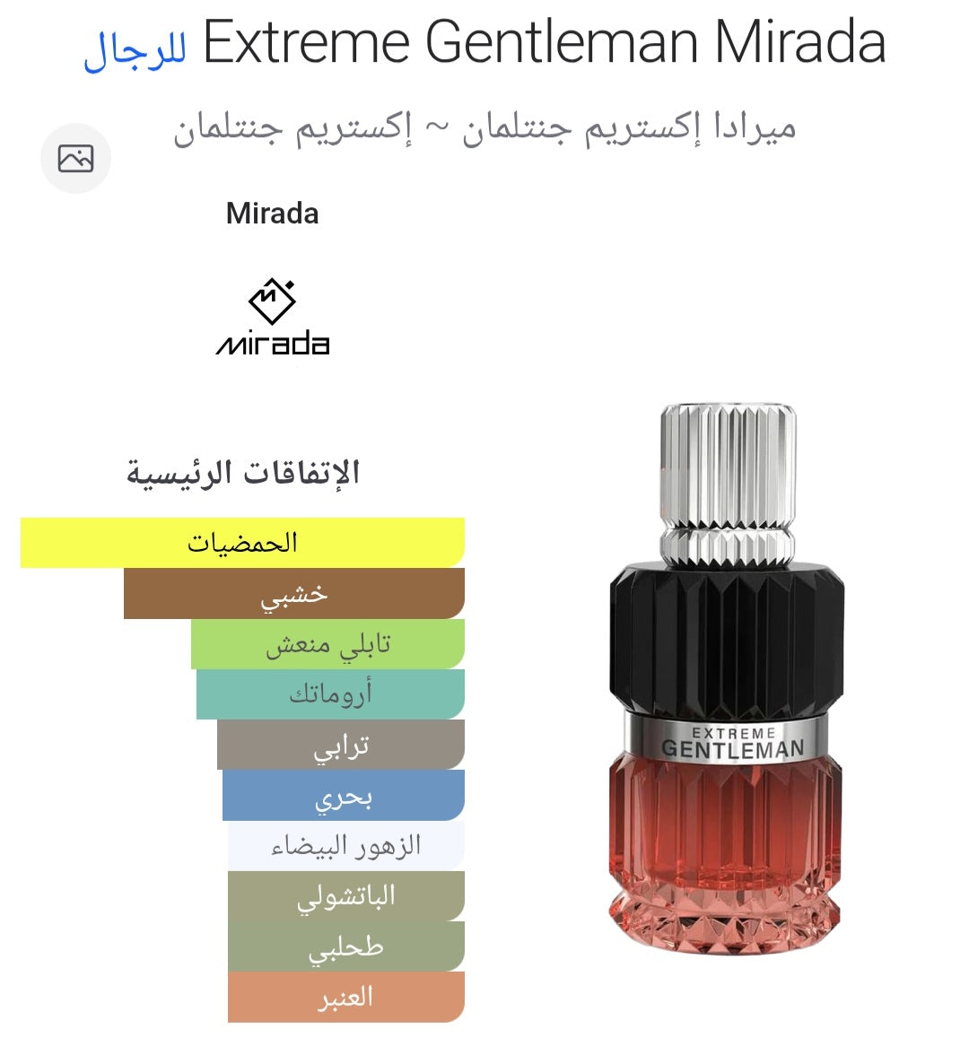 Extreme Gentleman 100ML Eau De Parfum By Mirada