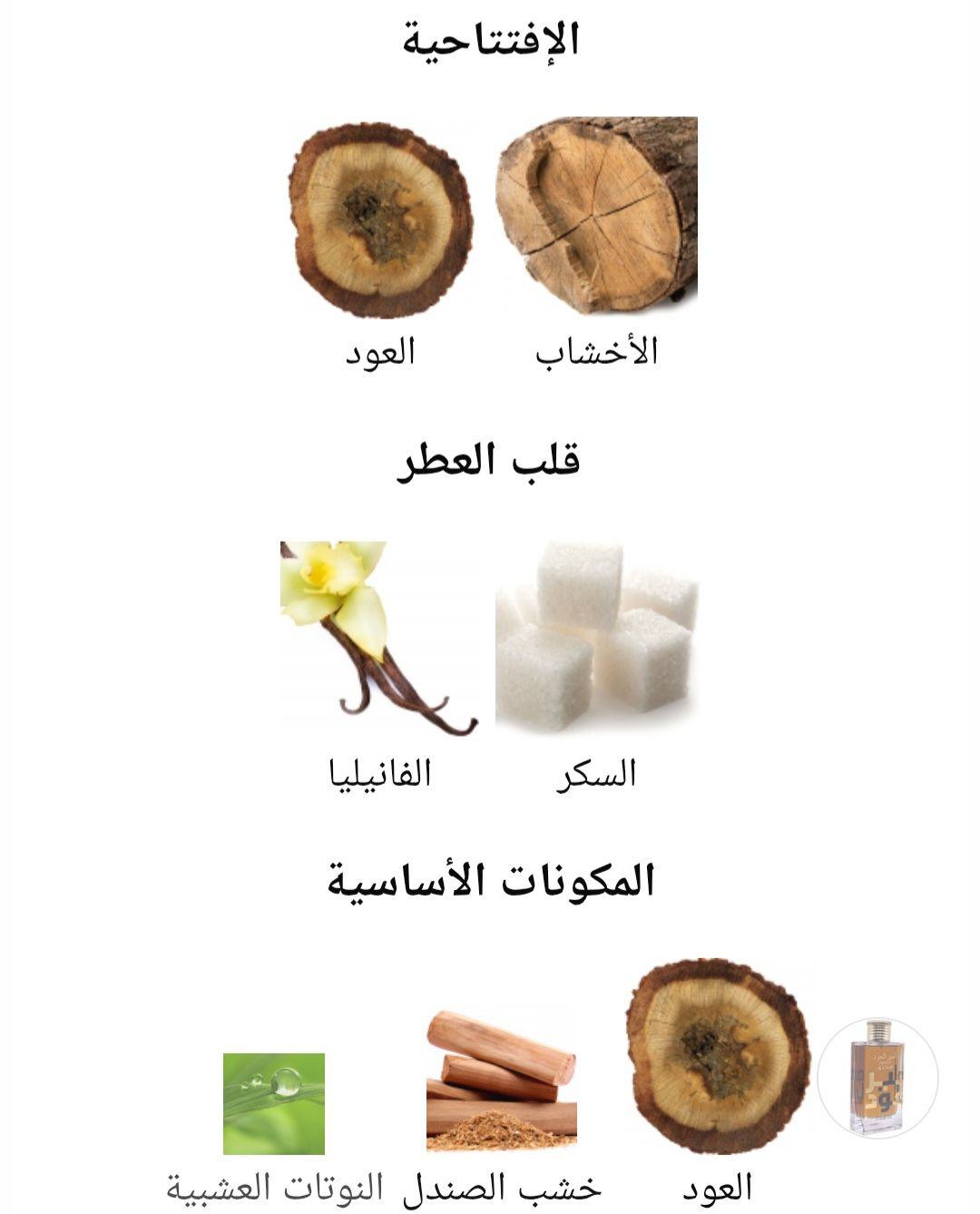 Ameer Al Oudh Intense Oud Lattafa Perfumes