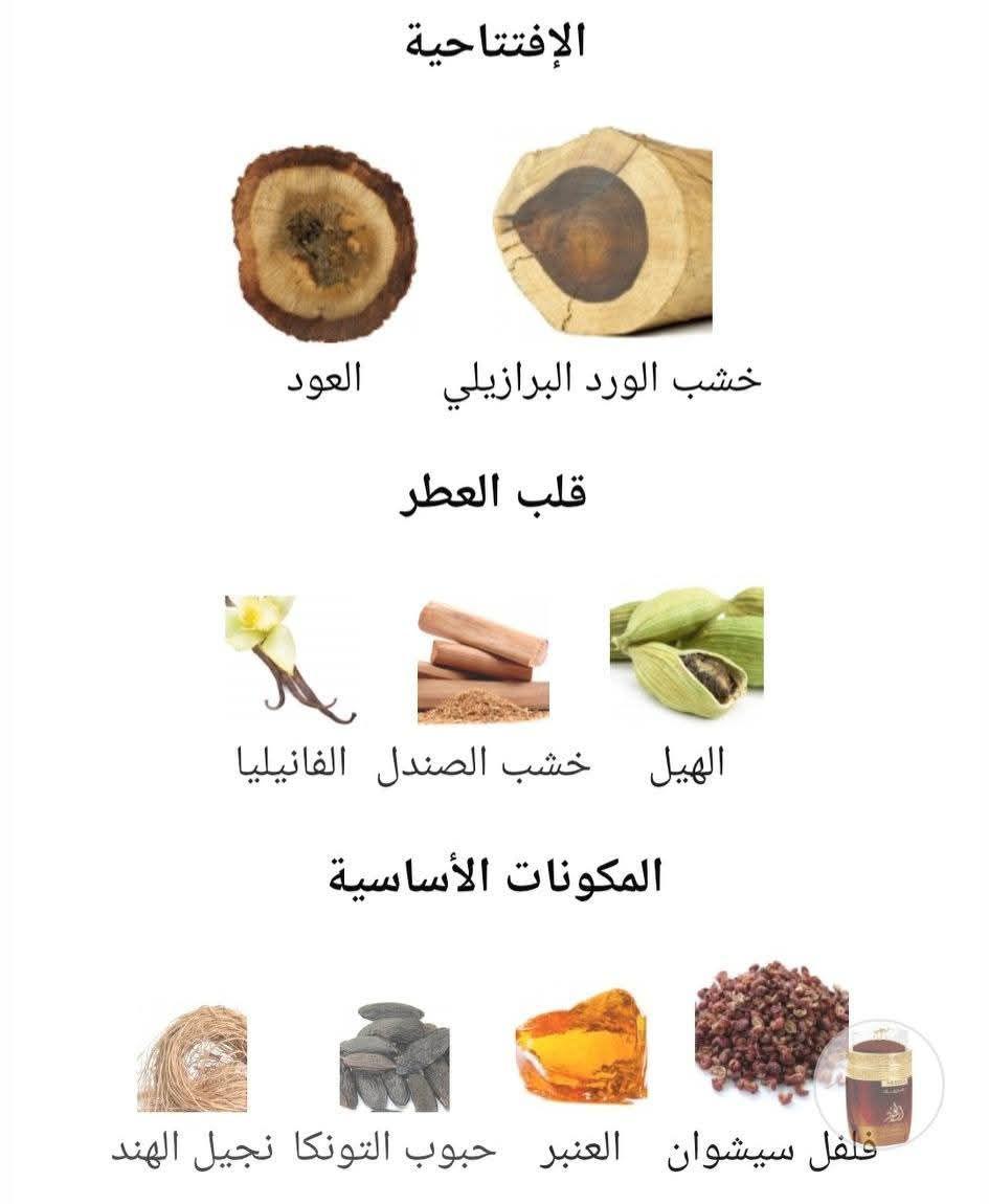 Arabia Al Oud Le Chameau