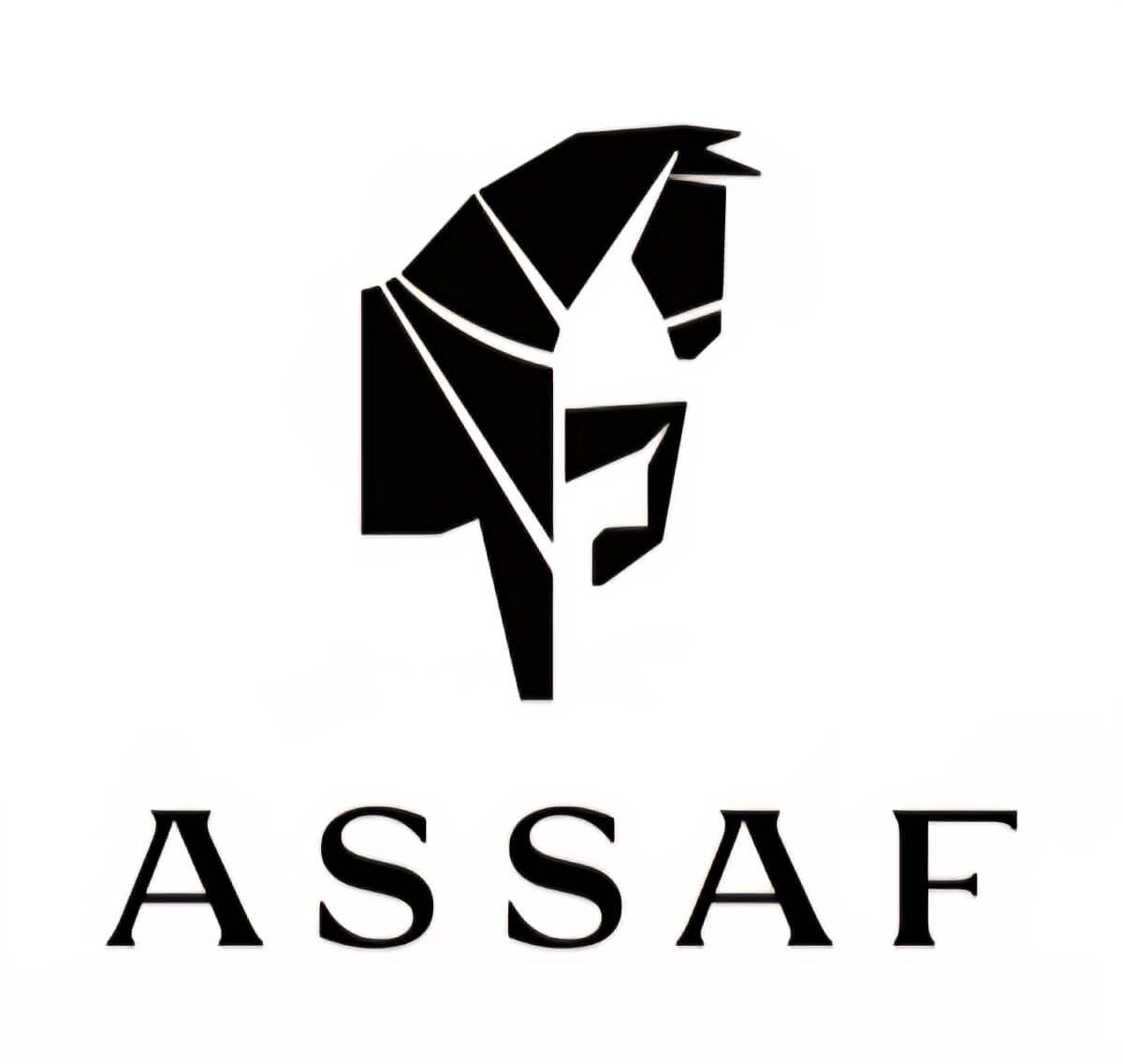 Arrogate Bakhoor Assaf