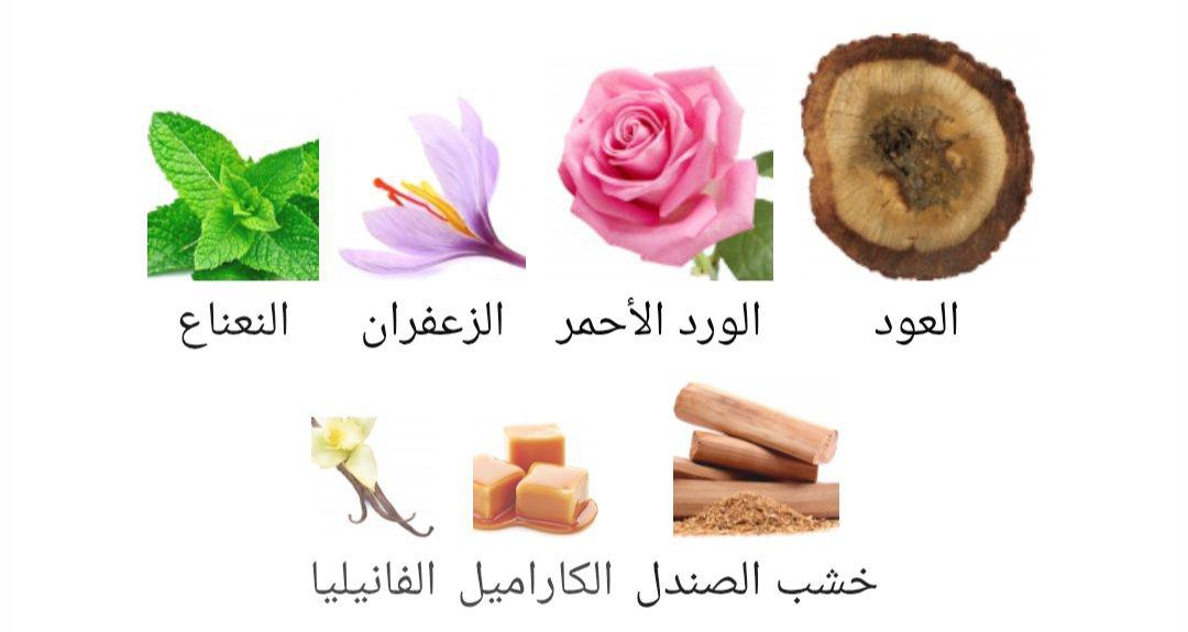 Aseel Al-Rehab