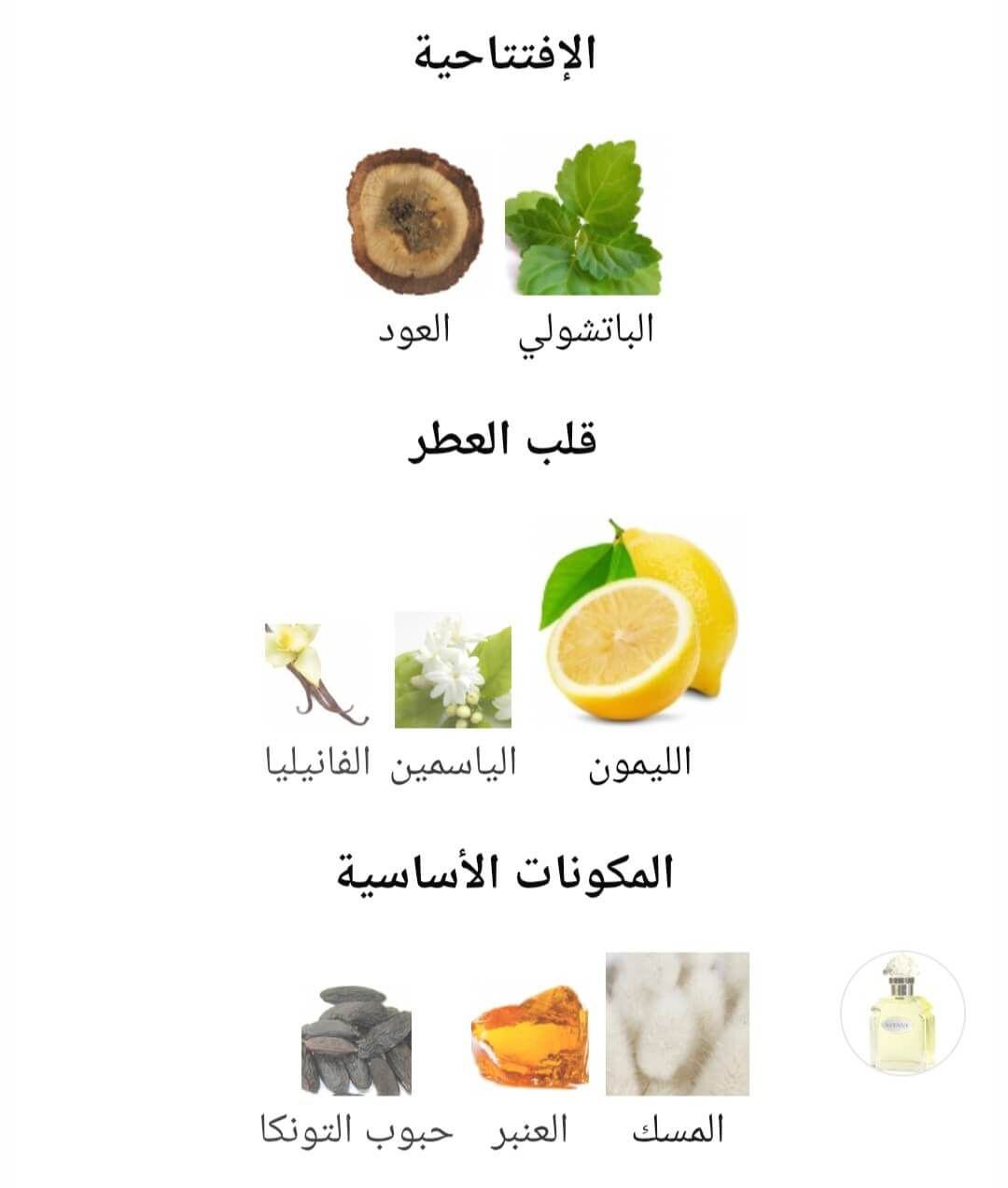 Avenue Al-Rehab