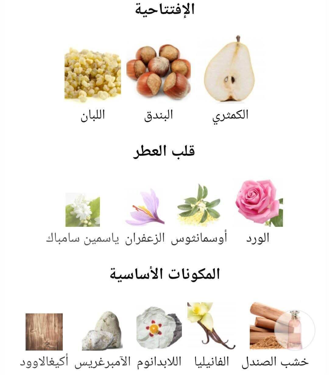 Bayn Al Asrar PARIS CORNER