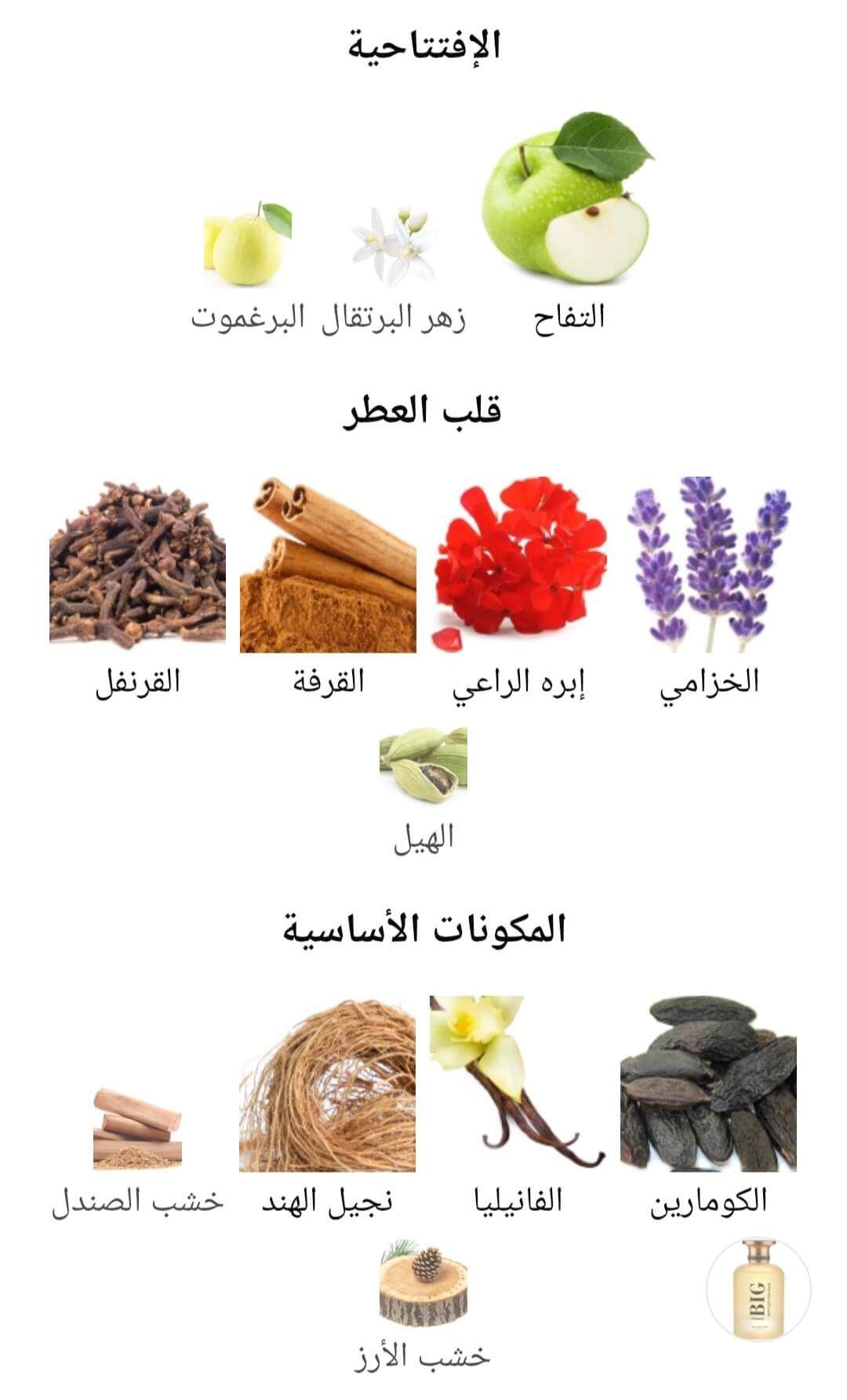 Big Bottled Intense Milestone Perfumes