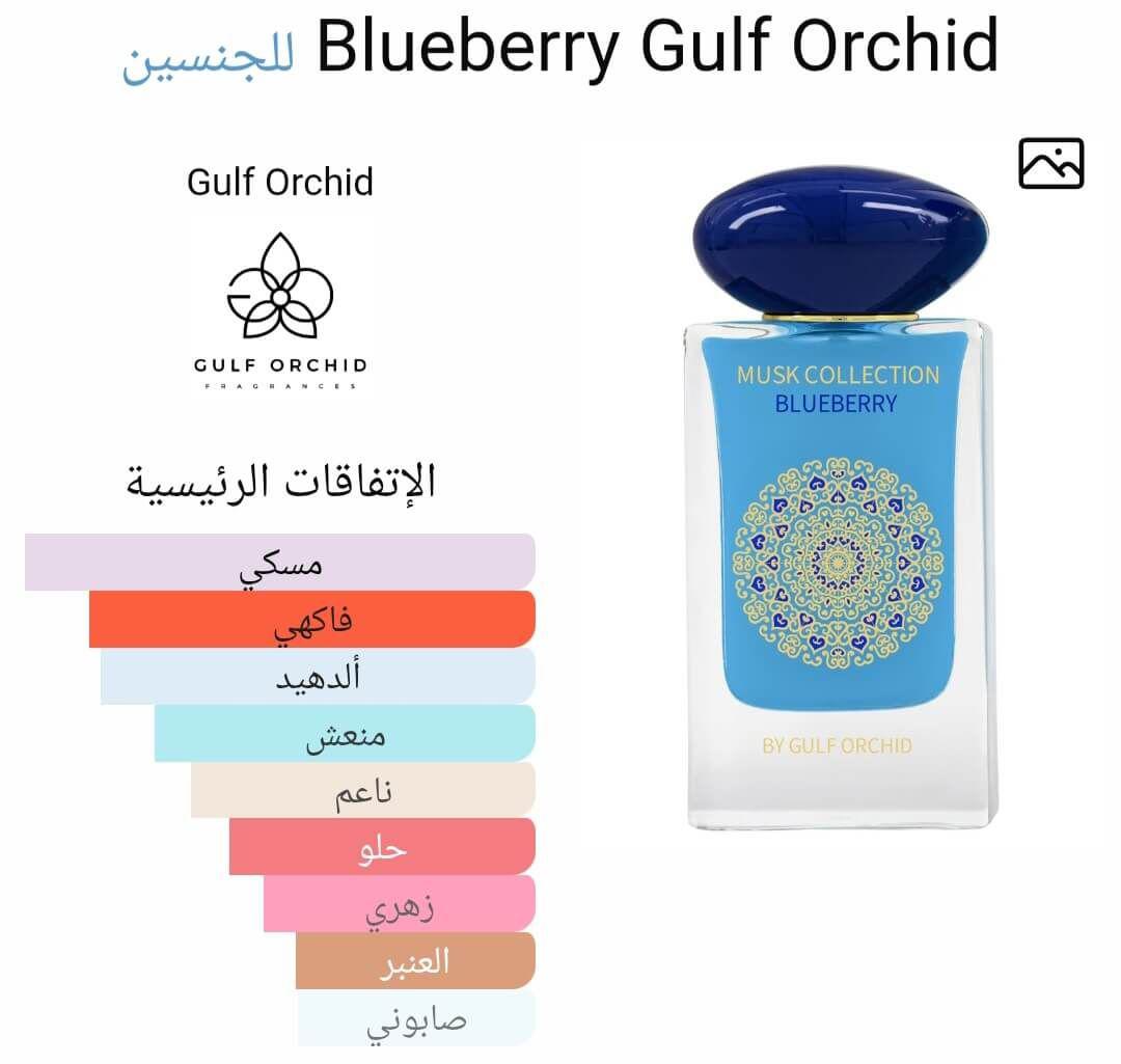 Blueberry Gulf Orchid