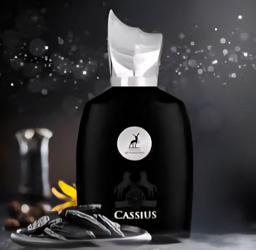 Cassius Maison Alhambra