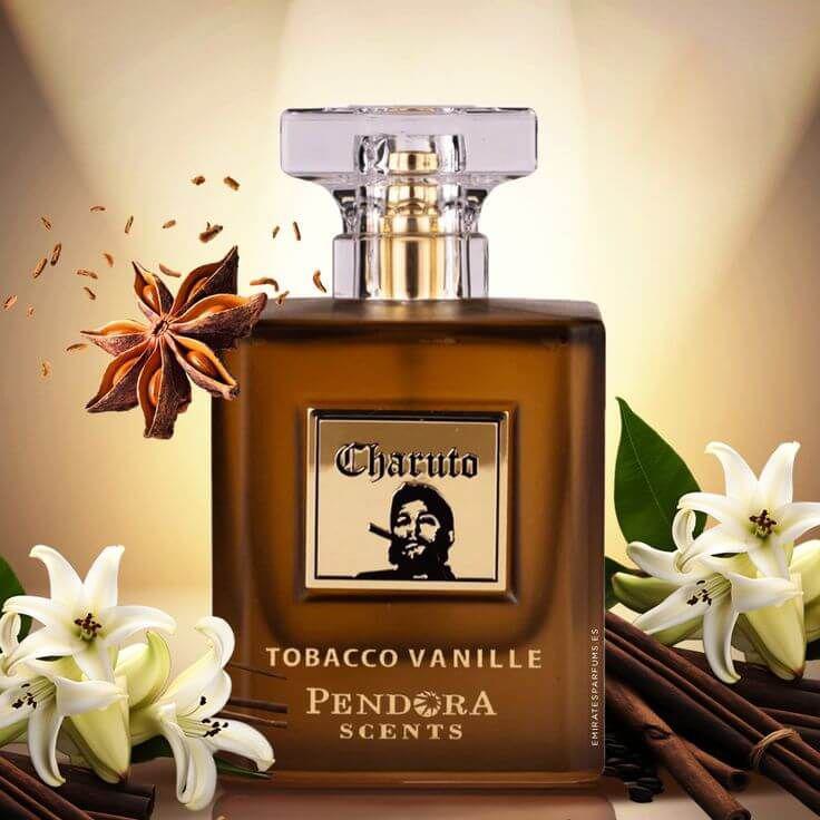 Charuto Tobacco Vanille Pendora Scents