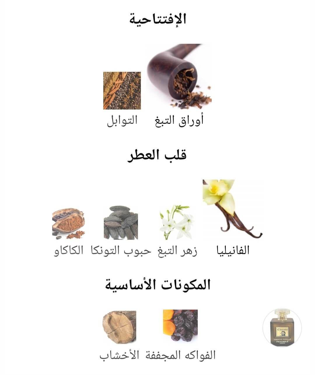Charuto Tobacco Vanille Pendora Scents