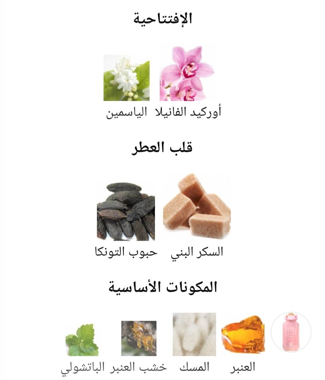 Elysia Vanilla Sugar Fragrance World