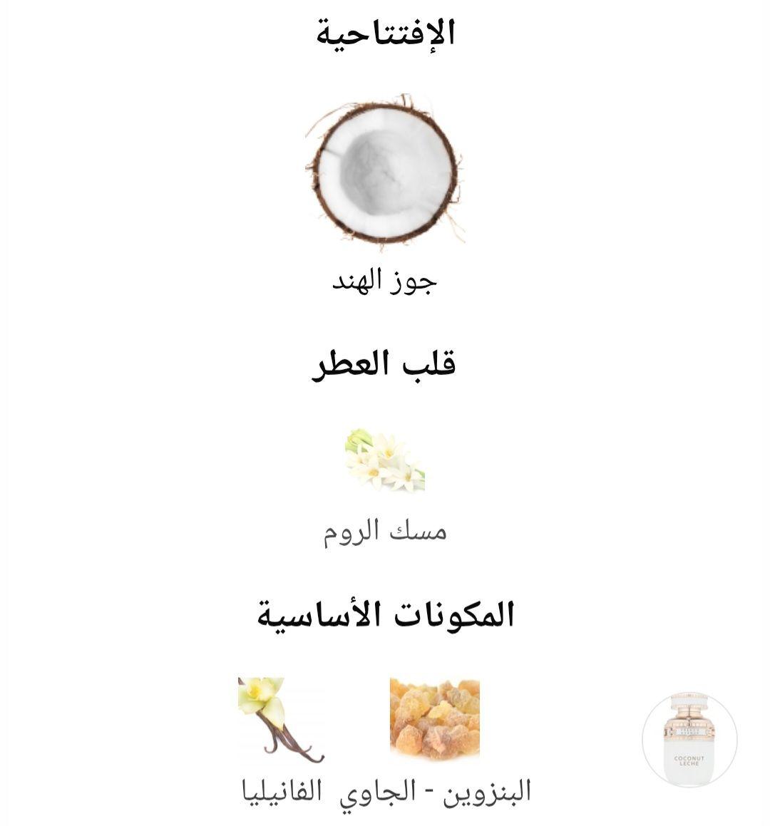 Coconut Leche French Avenue