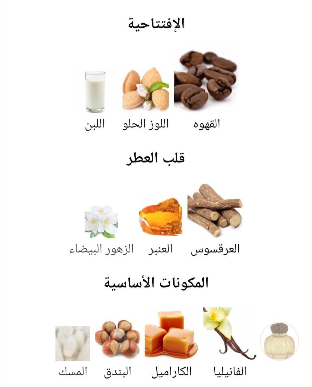 Coffee Blend MAISON ASRAR