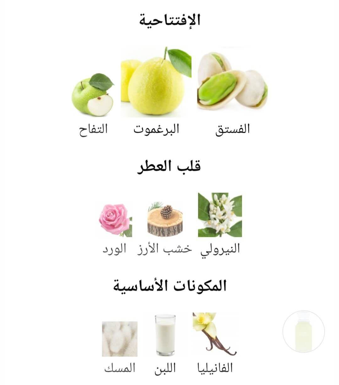 Creamy Pistachio Gulf Orchid