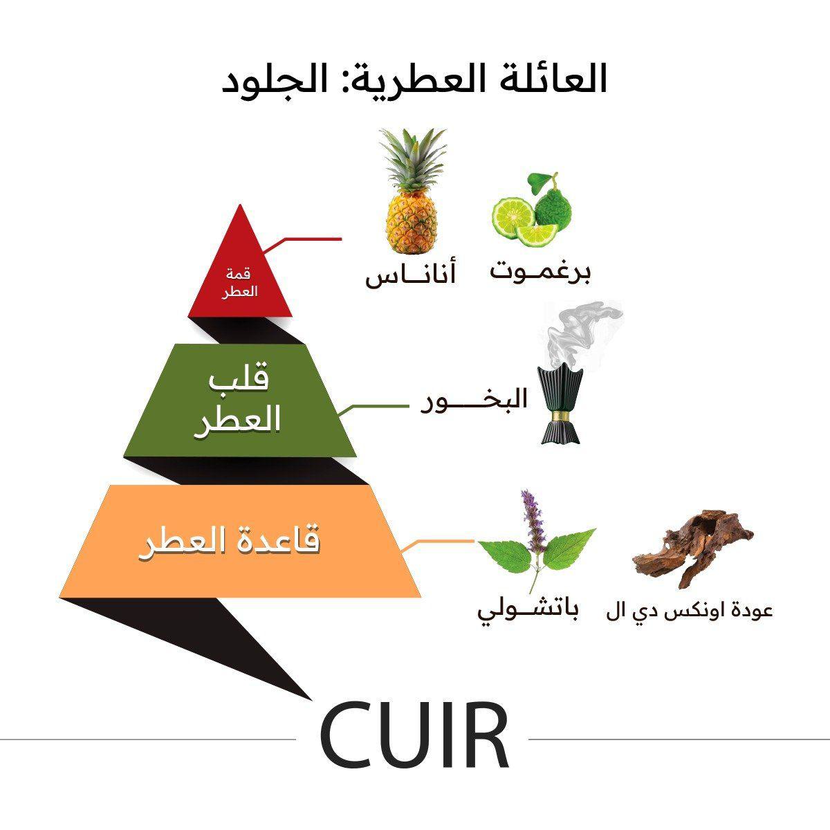 Cuir Perfume Gift Box 150ml + 15ml Oil + 15ml Perfume