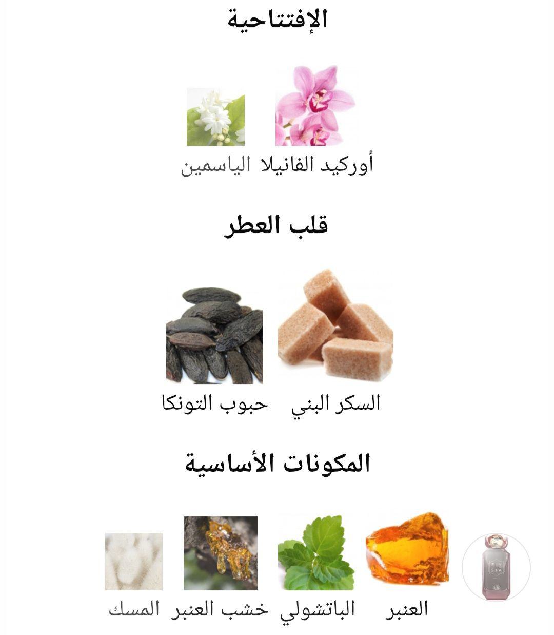 Elysia Vanilla Fragrance World