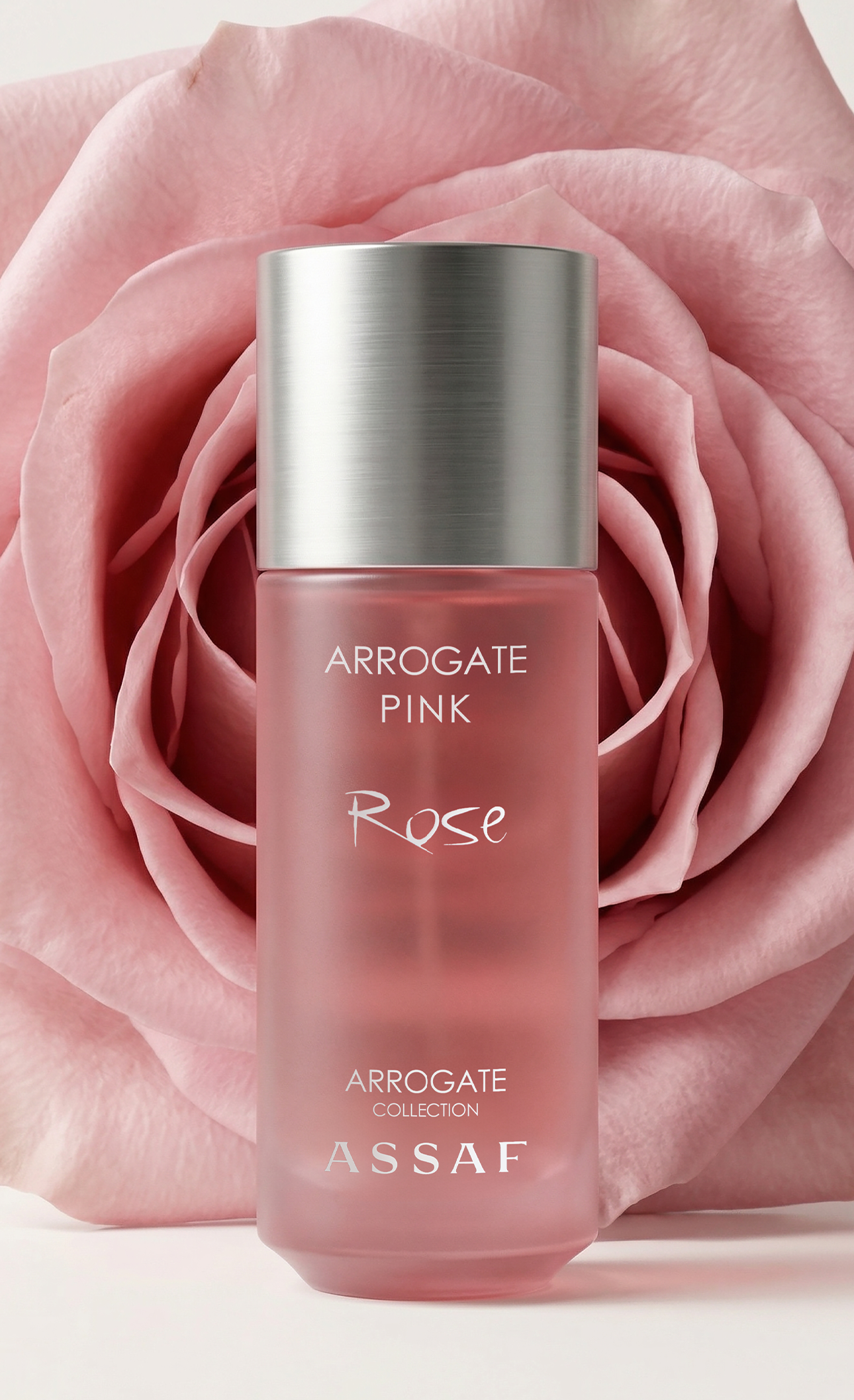 Arrogate Pink Rose Assaf